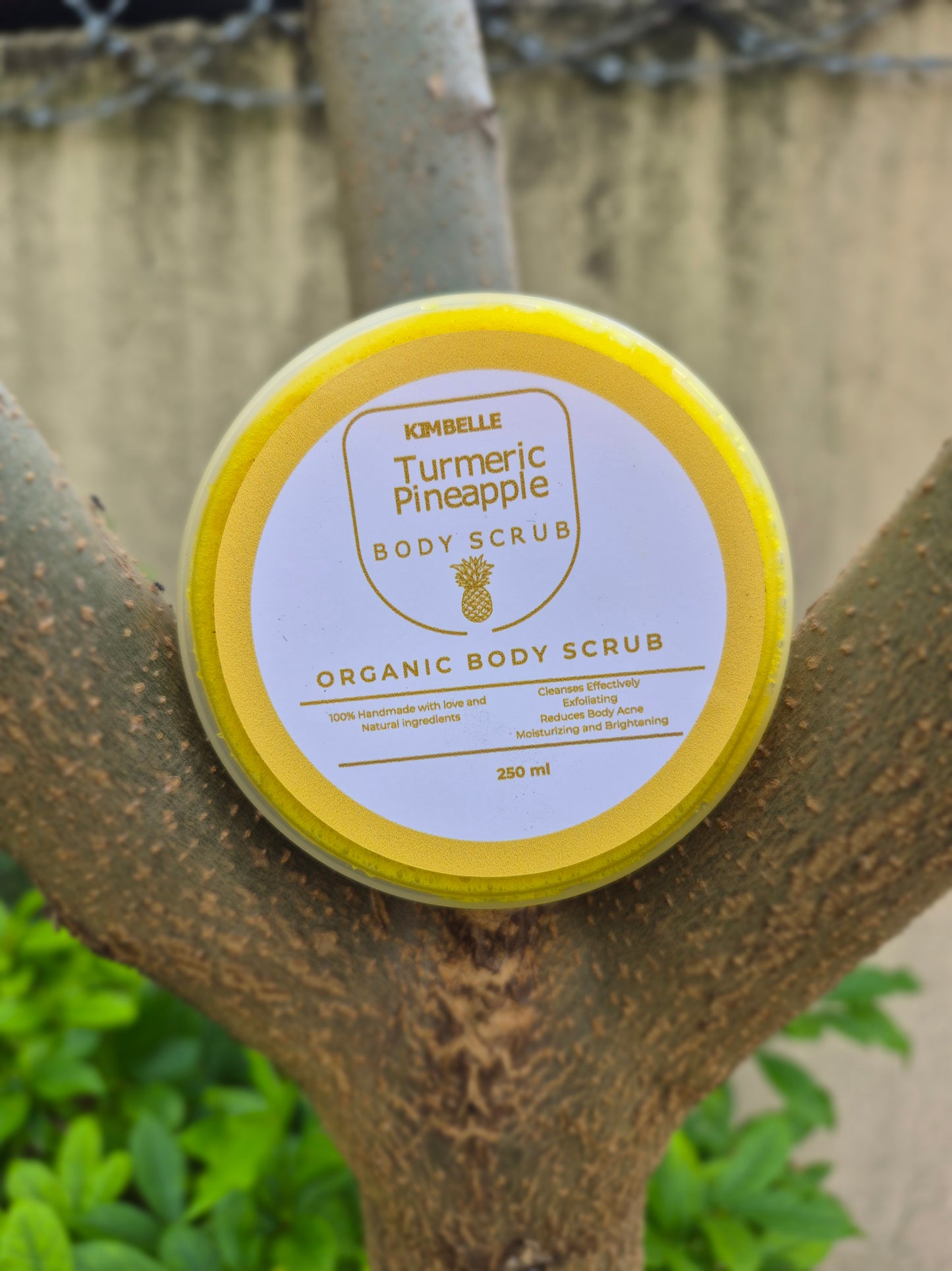 TURMERIC PINEAPPLE